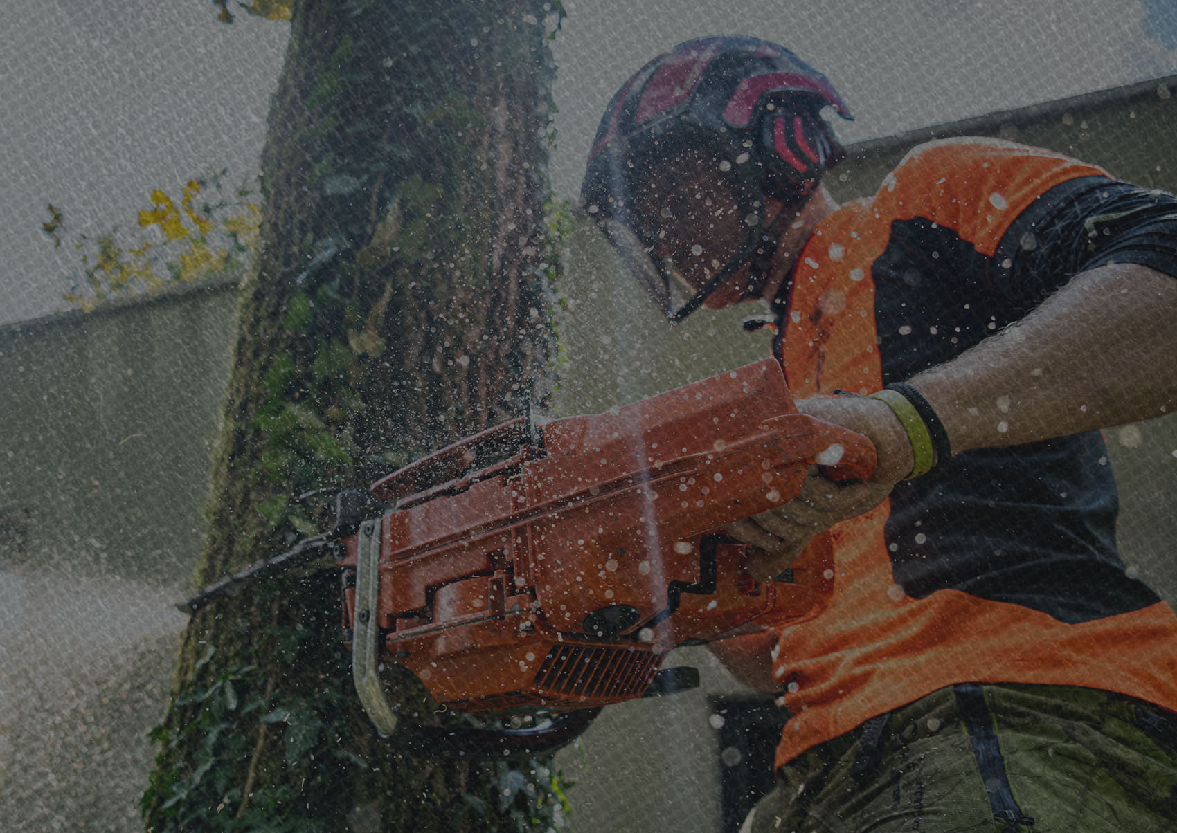 Grunge overlayed texture upon an image of a young man cutting a tree with a chainsaw