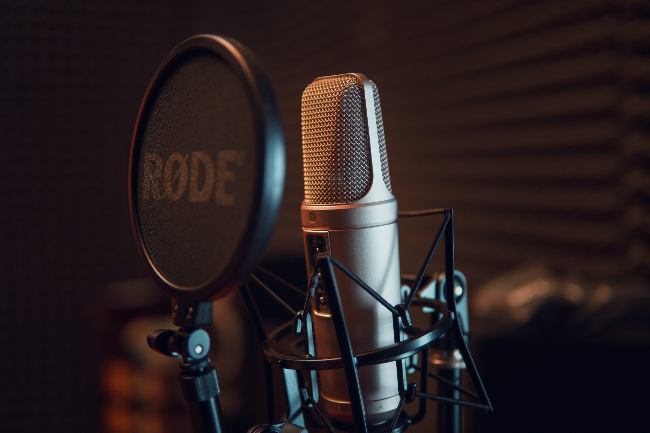 img-Next Steps Idaho Commercials </br> + Radio Spots